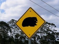 /album/placas-legais/criatura-do-mal-nos-proximos-cinco-5-kms-jpg/